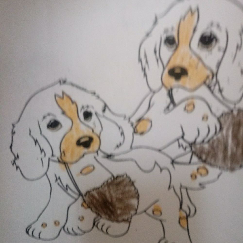 Meet your Posher, Suzanne